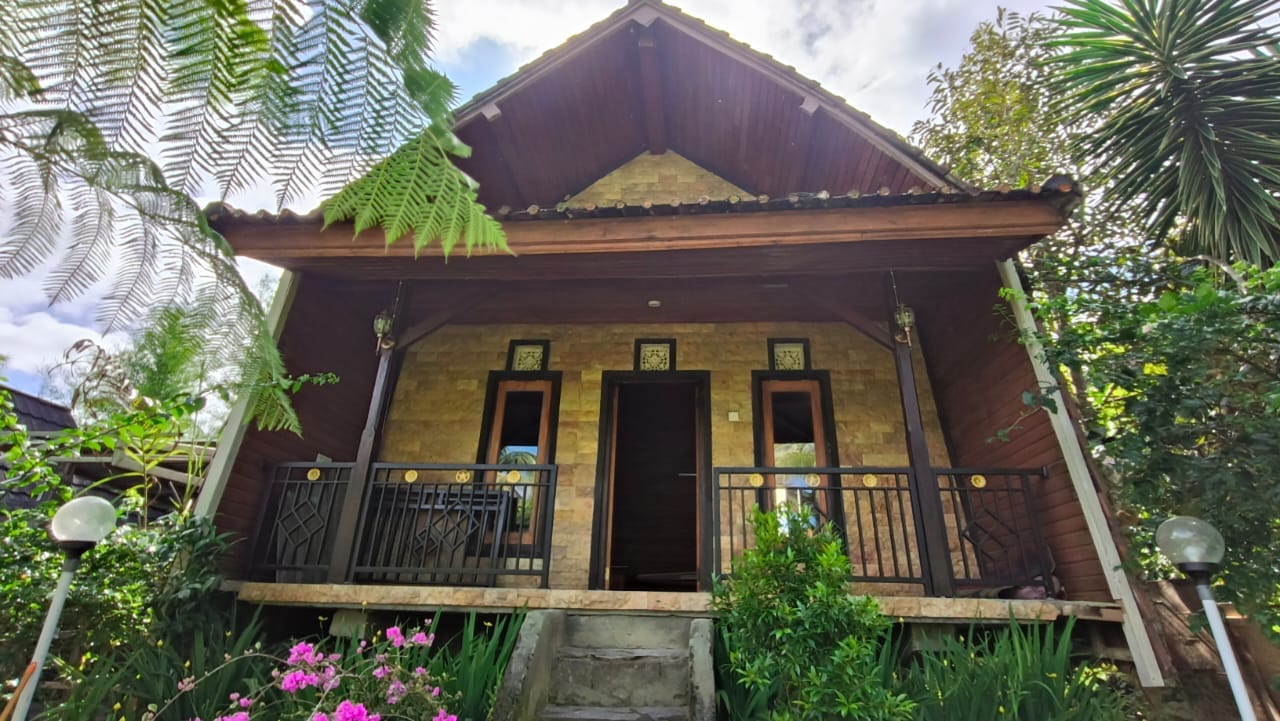 Mertha Nadi Rice Padi View Dungus